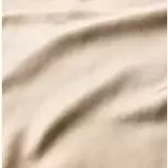 Haven Well Within Luxe Silk Cargo Pants - Picture 3 of 4